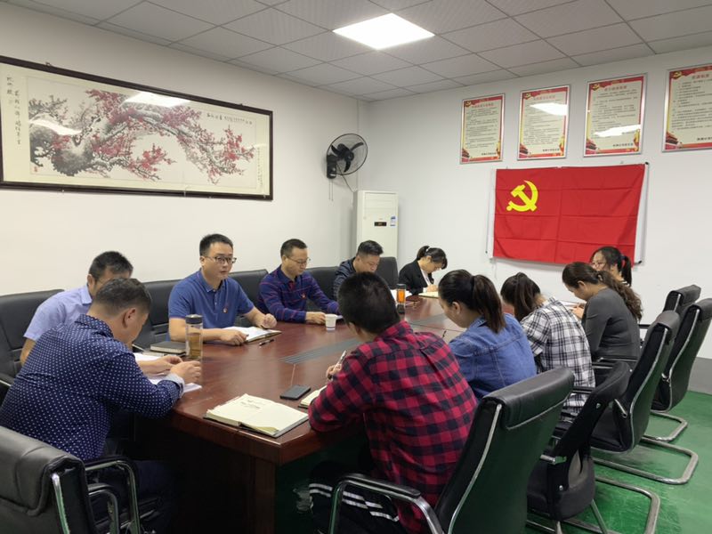 檢測(cè)公司黨支部召開(kāi)“不忘初心、牢記使命”專(zhuān)題組織生活會(huì)